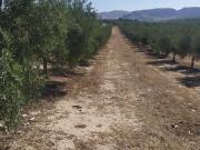 Finca/Casa Rural en venta en Sevilla, Sevilla