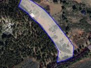 Finca/Casa Rural en venta en Tejeda, Gran Canaria