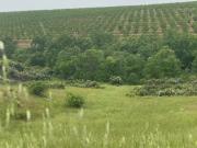 Finca/Casa Rural en venta en Toledo, Toledo