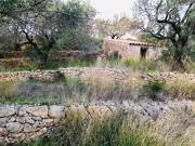 Finca/Casa Rural en venta en Tortosa, Tarragona