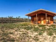 Finca/Casa Rural en venta en Ubeda, Alicante