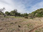 Finca/Casa Rural en venta en Ullaro, Mallorca
