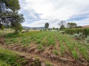 Finca/Casa Rural en venta en Ulldecona, Tarragona Costa...