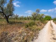 Finca/Casa Rural en venta en Ulldecona, Tarragona Costa...