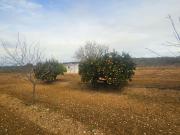 Finca/Casa Rural en venta en Ulldecona, Tarragona Costa...