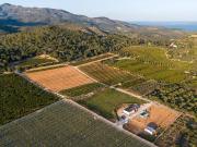 Finca/Casa Rural en venta en Ulldecona, Tarragona Costa...