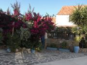 Finca/Casa Rural en venta en Vejer de la Frontera, Cádiz...