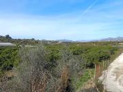 Finca/Casa Rural en venta en Vélez Málaga, Málaga Costa...