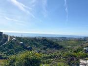 Finca/Casa Rural en venta en Vélez Málaga, Málaga Costa...