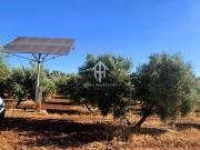 Finca/Casa Rural en venta en Ventorros de la Laguna, Granada