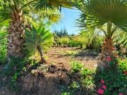 Finca/Casa Rural en venta en Vilaflor, Tenerife