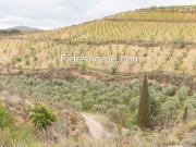 Finca/Casa Rural en venta en Villamena, Granada