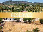 Finca/Casa Rural en venta en Villanueva de Tapia, Málaga