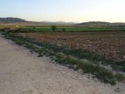 Finca/Casa Rural en venta en Yecla, Murcia