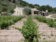 Finca/Casa Rural en venta en Yecla, Murcia