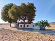 Finca/Casa Rural en venta en Yecla, Murcia