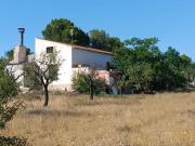 Finca/Casa Rural en venta en Yecla, Murcia