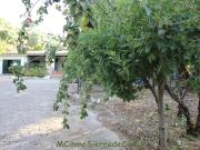 Finca/Casa Rural en venta en Zahara de la Sierra, Cádiz