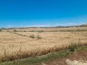 Finca/Casa Rural en venta en Zaragoza, Zaragoza