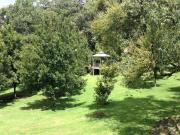 Finca/Rancho en Venta 4