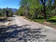 Fincas de Olivos en el Valle de Lecrín