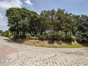 Fincas en Condado de Sayavedra