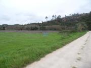 Fincas Rusticas 3 quarto, Aljezur Algarve DS85660896