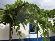 Fincas Rusticas 3 quarto, Odemira Beja DS93757947
