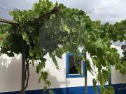 Fincas Rusticas 3 quarto, Odemira Beja DS97233189