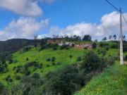 Fincas Rusticas 3 quarto, Silves Algarve DS73665621