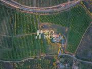 Fincas Rusticas 5 quarto, Lagoa Algarve DS97086597