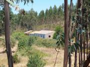 Fincas Rusticas 6 quarto, Aljezur Algarve DS73398350