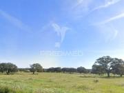 Fincas Rusticas Beja Beja DS95000474 Fincas Rusticas Beja Beja DS95000474