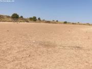 Fincas Rústicas en venta en Aledo