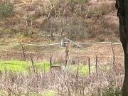 Fincas Rusticas Grândola Setúbal DS89828097