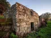 Fincas Rusticas Mangualde Viseu DS95981694