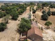 Fincas Rusticas Mexilhoeira Grande Algarve DS61687609