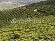 Fincas Rusticas Reguengos de Monsaraz Évora DS62760211