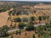 Fincas Rusticas Santiago do Cacém Setúbal DS93424472