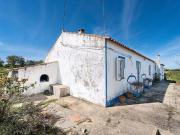 Fincas Rusticas Santiago do Cacém Setúbal DS98601342