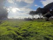 Fincas Rusticas Seia Guarda DS96064919