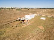 Fincas Rusticas Viana do Alentejo Évora DS66628793