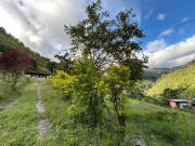 Fincas Venta Apía Risaralda