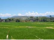 Fincas y Casas Campestres, Venta, Jamundí