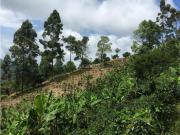 Fincas y Casas Campestres, Venta, La Leonera