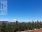 Finster Vende Linda Parcela De 5.200m2 Barrancas, Pichilemu