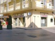 Fiori e Piante in vendita a Lucca