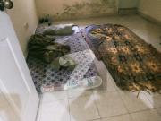 First Floor Flat For Rent Empire Heights