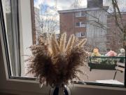 First Occupancy After Renovation – Modern Living in a...