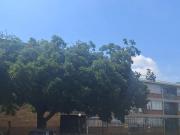 First Time Buyers This is for you!